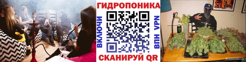 Хочу наркоту Удомля ГАШИШ АМФЕТАМИН Мефедрон Конопля