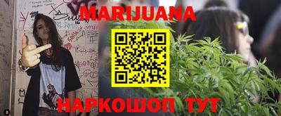 Альфа ПВП Новозыбков