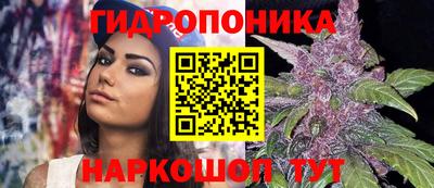 Альфа ПВП Новозыбков