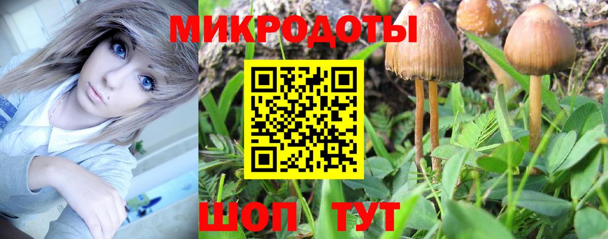 Псилоцибиновые грибы Magic Shrooms  Вход с VPN  наркота  Удомля 